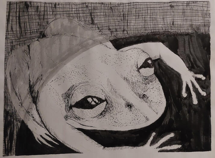 Hoppin' - Ink on Paper